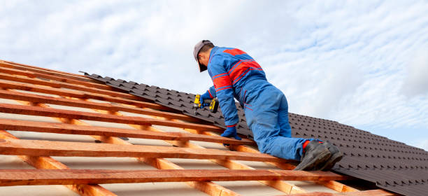 Best Roof Insulation Installation  in Wilson, AR